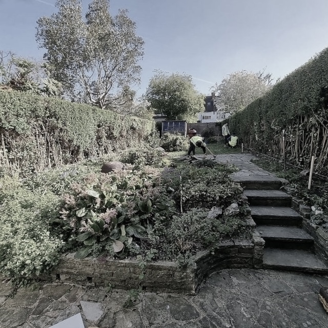 Maida Vale garden before transformation